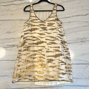 Anthropologie Mesh Dress with slip, size M